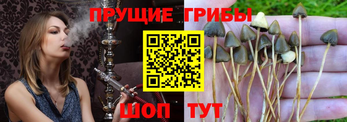 Галлюциногенные грибы GOLDEN TEACHER Заинск