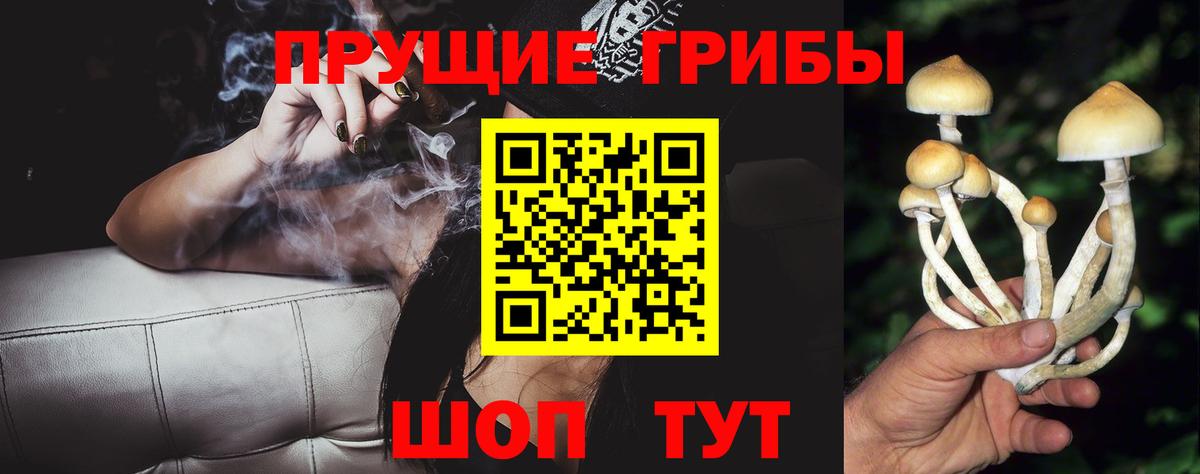 Псилоцибиновые грибы мухоморы  Вход с VPN  Заинск 